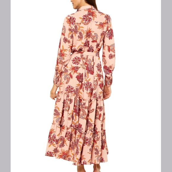 MISA Los Angeles Esmee Maxi Dress in Paisley - Picture 5 of 11